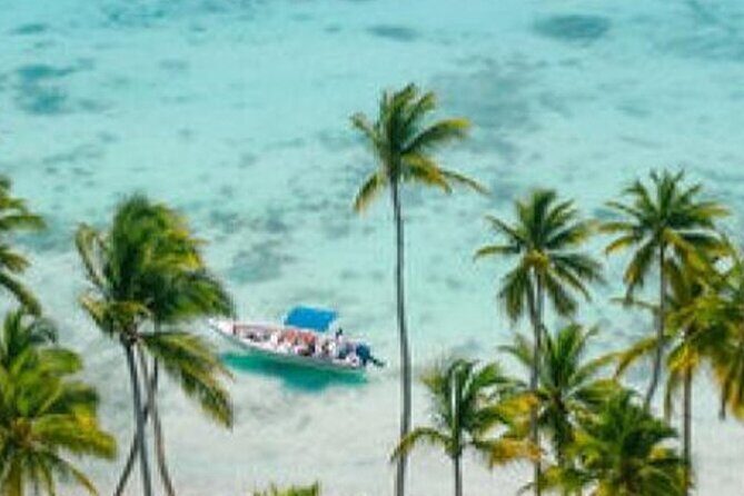 Saona Island Catamaran Speedboat Tour to a Dream Beach - The Practical Side: Whats Included and What You Should Know