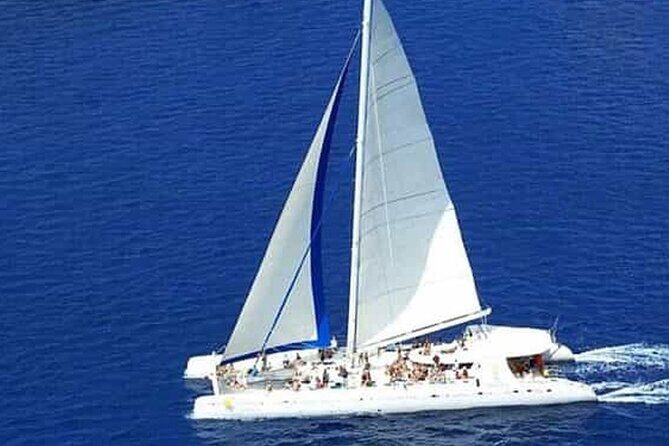 Saona Island Catamaran Speedboat Tour to a Dream Beach - The Sum Up