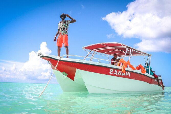 Saona Island Catamaran Tour Buffet & Open Bar from Punta Cana - Value for Money and Overall Impression