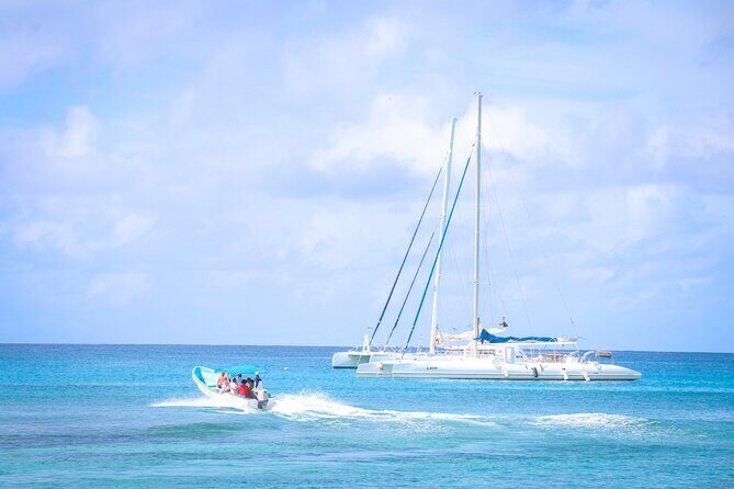 Saona Island Catamaran Tour Buffet & Open Bar from Punta Cana - Final Thoughts