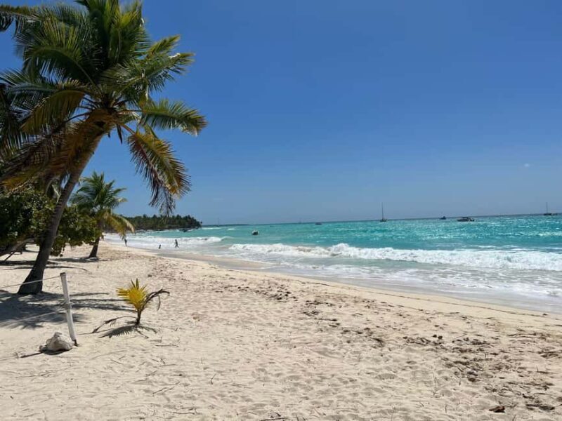 Saona Island & Chavon River Tour with Lunch & Drinks - Key Points