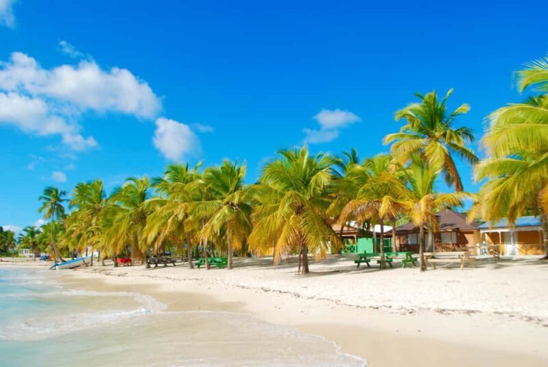 Saona Island & Chavon River Tour with Lunch & Drinks - Comprehensive Overview of the Tour Experience