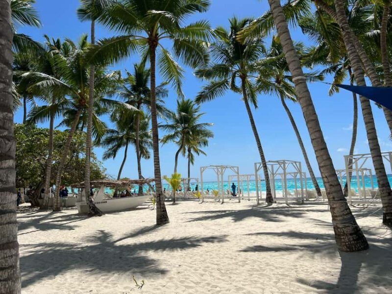 Saona Island & Chavon River Tour with Lunch & Drinks - Who is this tour best suited for?