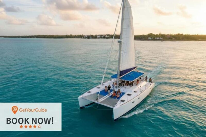 Saona Island Day Tour from Punta Cana with Lunch & Open Bar - The Itinerary in Detail