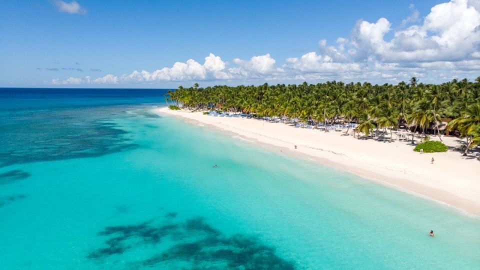 Saona Island Day Trip From Punta Cana + Lunch & Open Bar - Inclusions and What to Expect