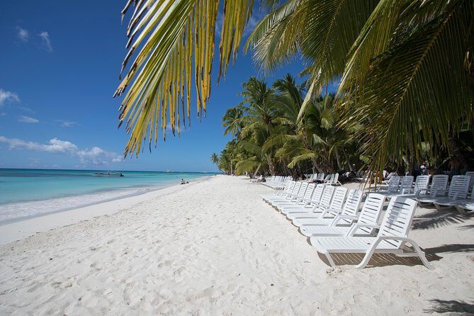 Saona Island Day Trip From Punta Cana with Lunch and Open Bar - The Fine Print: What to Know Before You Go