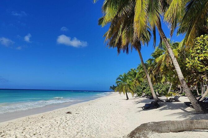 Saona Island Day Trip from Punta Cana with Lunch and Pickup - Whats Included and What to Expect