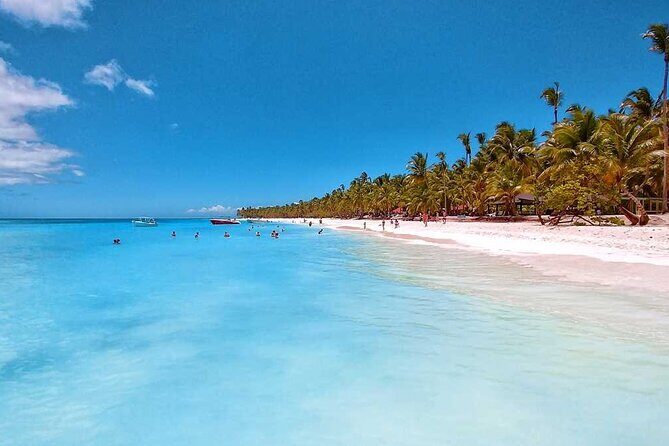 Saona Island Day Trip from Punta Cana with Lunch and Pickup - Transportation and Group Size