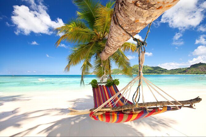 Saona Island Day Trip From Punta Cana with Pick Up and Open Bar - Introduction