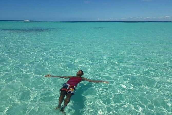 Saona Island Day Trip From Punta Cana with Pick Up and Open Bar - The Sum Up