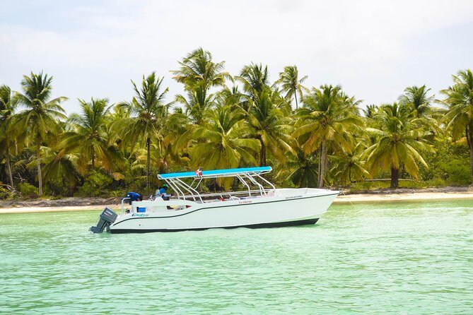 Saona Island Day Trip + Lobsters Included - Transportation and Group Size