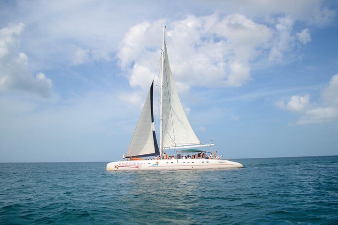 Saona Island Day Trip + Lobsters Included - Authentic Experiences and Real-World Feedback