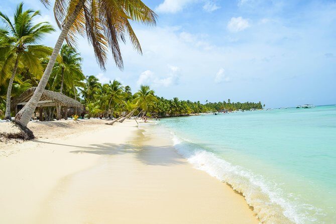 Saona Island Day Trip + Lobsters Included - Who Will Love This Tour?