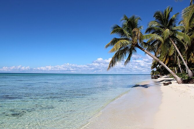 Saona Island Day Trip + Lobsters Included in Cap Cana - Cancellation Policy