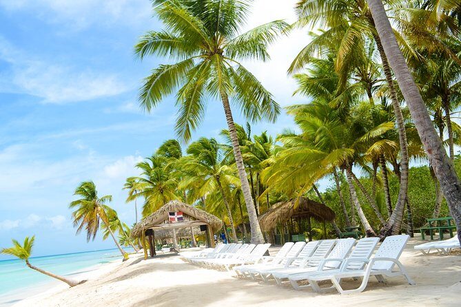 Saona Island Day Trip + Lobsters & Wine Included - Final Thoughts