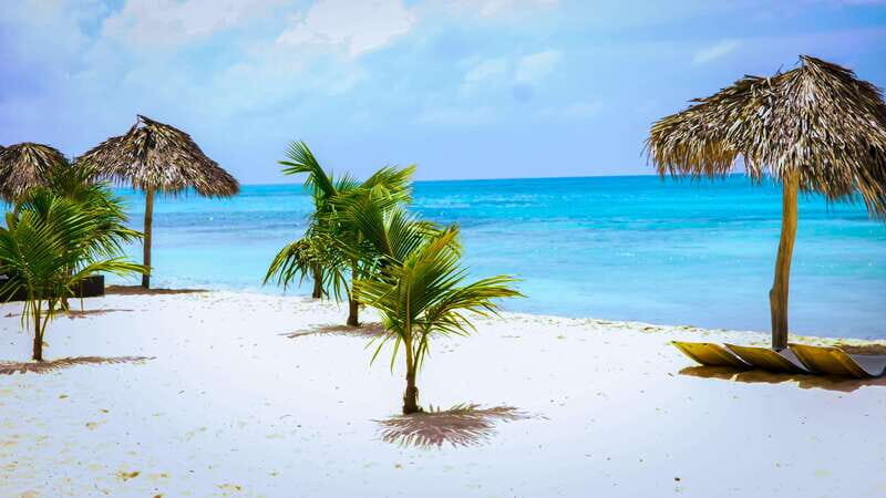 Saona Island Day Trip + Lunch + Open Bar from Punta Cana - Practical Tips for Making the Most of Your Trip