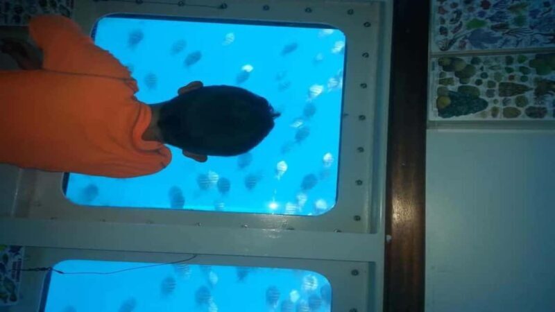 Saona Island Day Trip with Lunch and Open Bar at Punta Cana - Key Points  