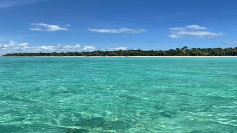 Saona Island Day Trip with Lunch and Open Bar at Punta Cana - Who Should Consider This Tour?