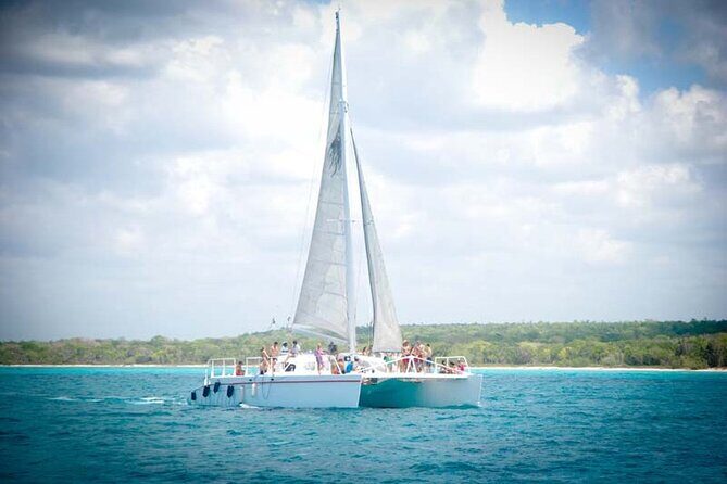 Saona Island Day trip with lunch and transport included. - What the Tour Includes and How It Works