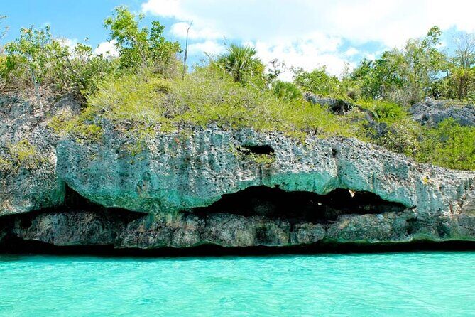 Saona Island Day trip with lunch and transport included. - FAQ