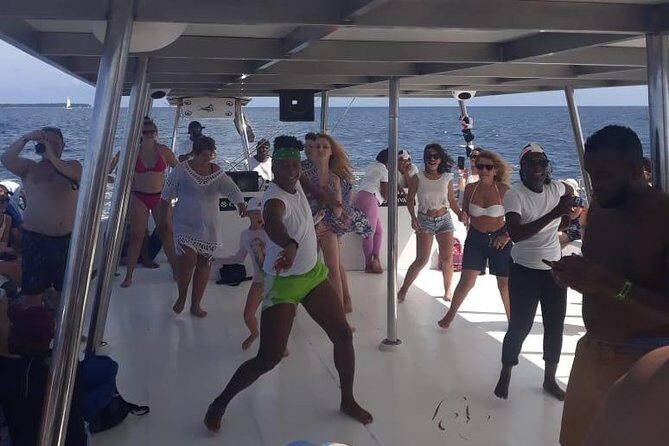 Saona Island Day Trip with Private Transfer and Personal Service - Who Should Consider This Tour?