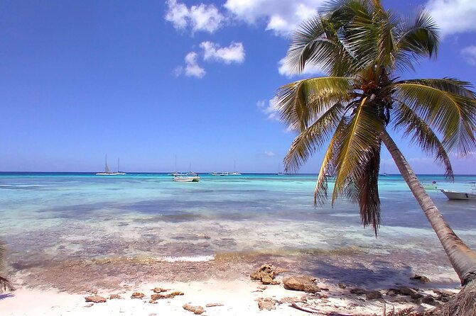 Saona Island Deluxe With Private Transfer (Min 8 People) - Pickup and Transportation