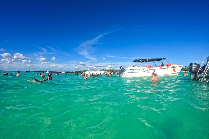 Saona Island Excursion: Caribbean Paradise From Punta Cana - Pickup and Drop-off Convenience