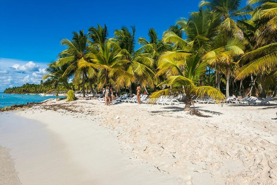 Saona Island Excursion With Lunch and Open Bar - Key Points