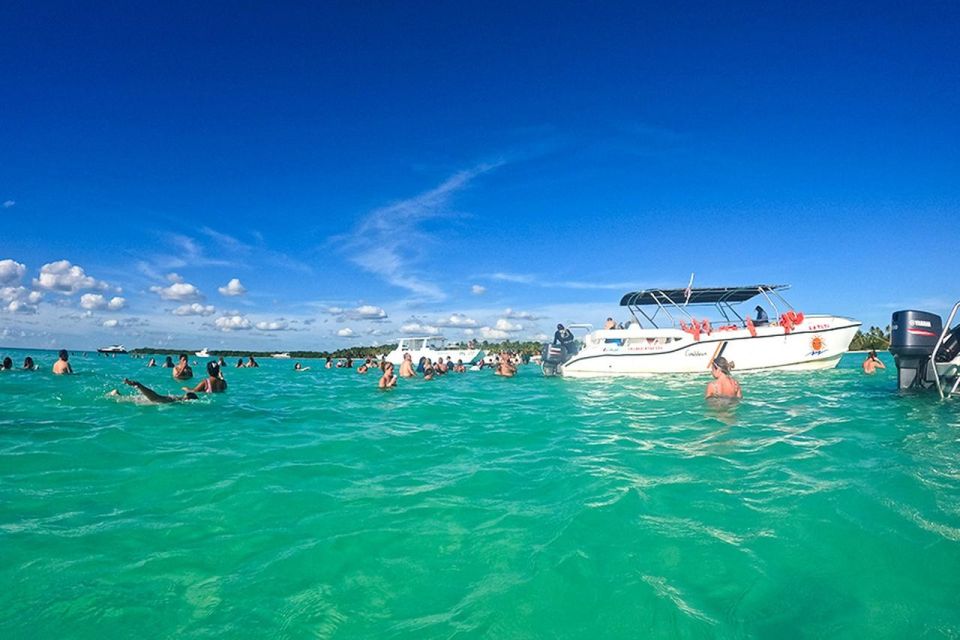 Saona Island Excursion With Lunch and Open Bar - Activities and Experiences