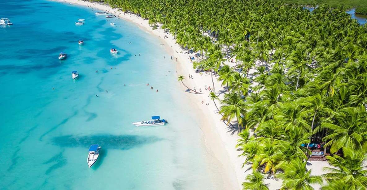 Saona Island Excursion With Lunch and Open Bar - Included Amenities