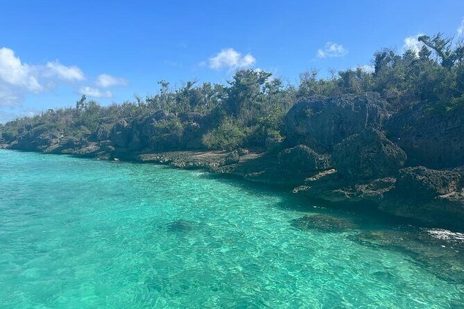 Saona Island for AIDA Passengers from La Romana Port - A Detailed Look at the Saona Island Tour for AIDA Passengers