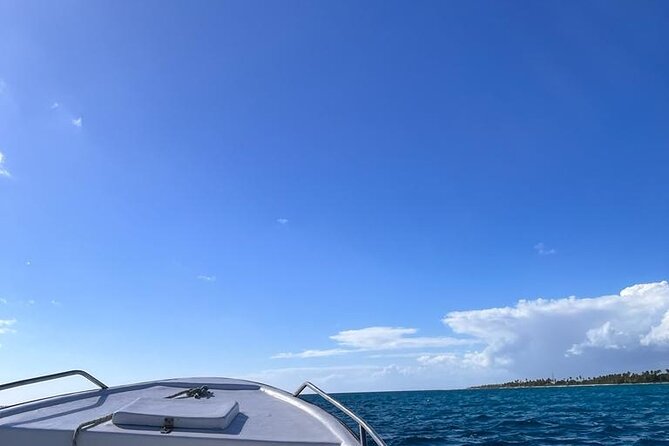 Saona Island for Carnival Cruise Passengers From La Romana Port - Customer Reviews and Feedback