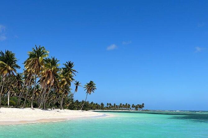 Saona Island for Marella Discovery Passengers from La Romana Port - Introducing the Saona Island Tour from La Romana Port
