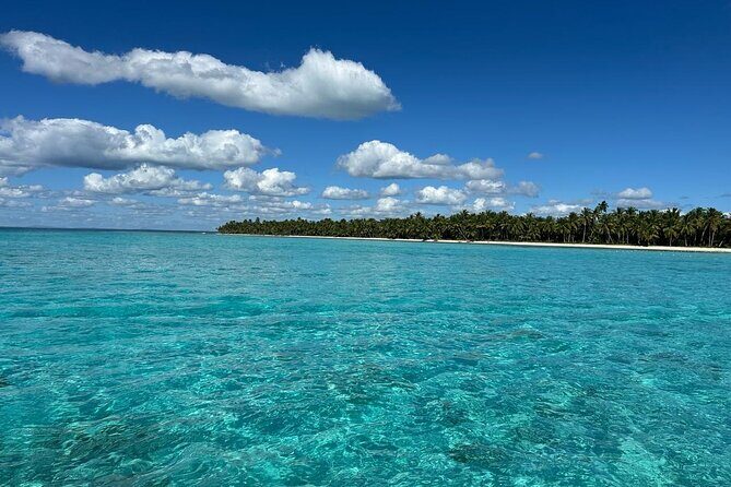 Saona Island for Marella Discovery Passengers from La Romana Port - A Deep Dive into the Experience
