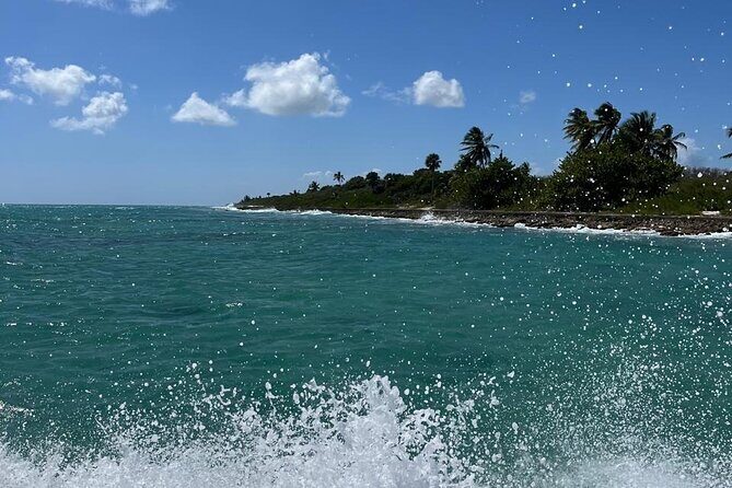 Saona Island for Marella Discovery Passengers from La Romana Port - The Sum Up