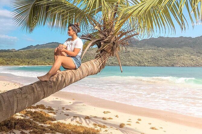 Saona island From Bayahibe - Start at the Port - What You Can Expect from the Tour