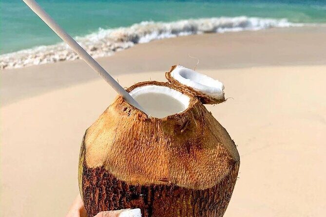 Saona island From Bayahibe - Start at the Port - Final Thoughts