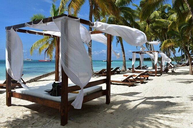 Saona Island From Punta Cana - Key Points