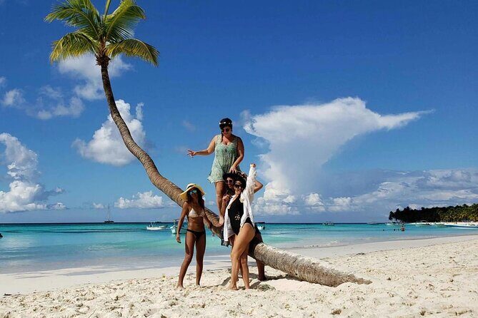 Saona Island From Punta Cana - Transportation and Overall Value