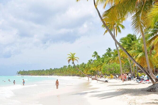 Saona Island from Punta Cana with Transportation and Lunch Included - Transportation and Logistics: Why it Matters