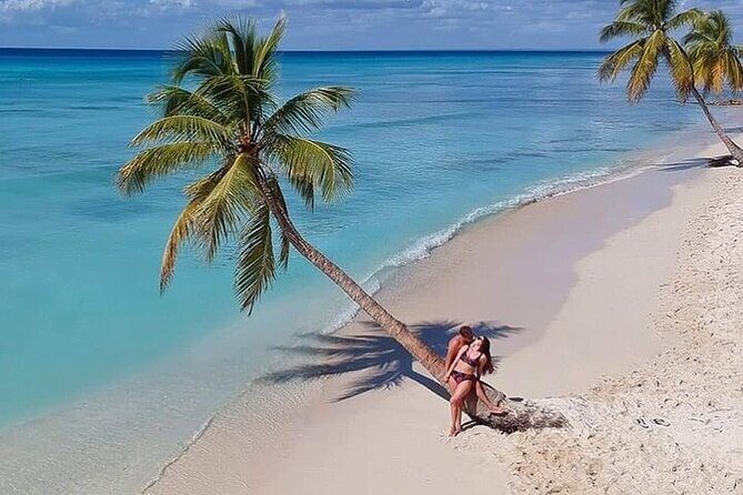 Saona Island from Punta Cana with Transportation and Lunch Included - Who Is This Tour Best For?