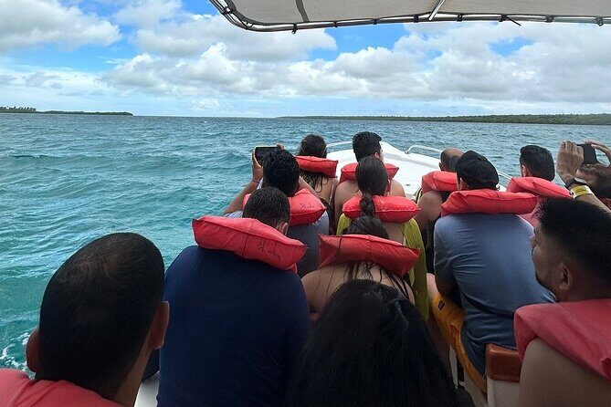 Saona Island from Punta Cana with Transportation and Lunch Included - Frequently Asked Questions (FAQs)