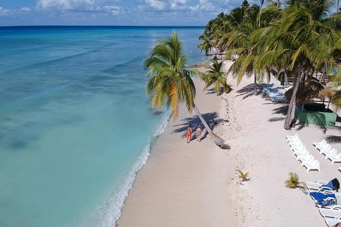 Saona Island From Santo Domingo - Traveler Feedback: Negative Aspects