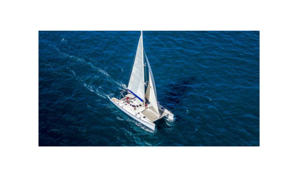 Saona Island From Santo Domingo With Catamaran and Food & Drink - Saona Island Day Trip