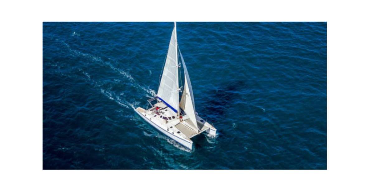 Saona Island From Santo Domingo With Catamaran and Food & Drink - Travel by Boat