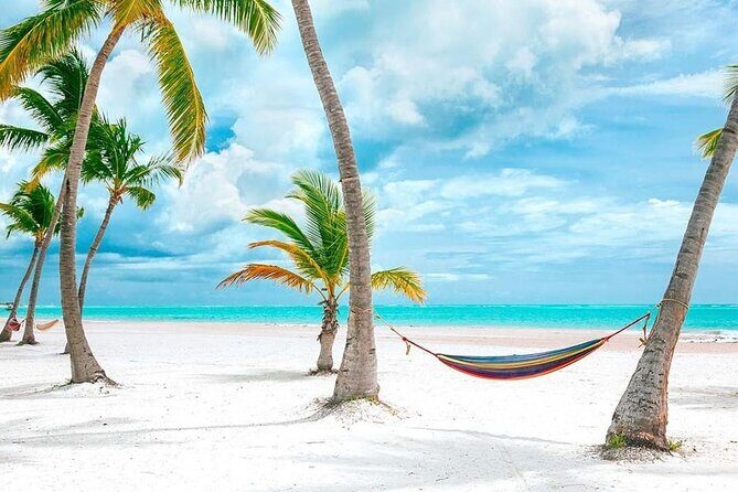 Saona Island Full Day Adventure From Punta Cana & Bavaro - Who Is This Tour Best For?