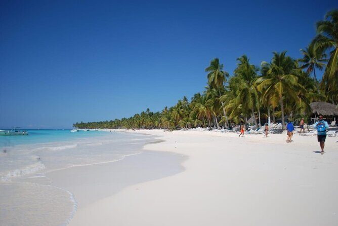 Saona Island Full Day Adventure From Punta Cana & Bavaro - Final Thoughts: Worth the Effort?