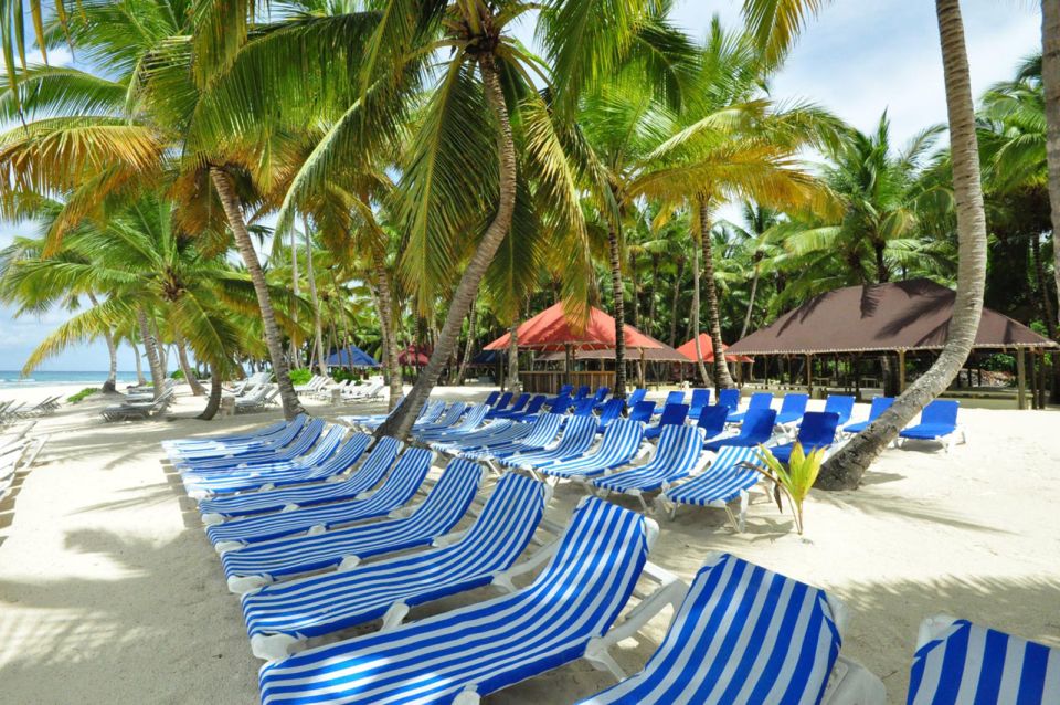 Saona Island: Full-Day Boat Tour With Buffet Lunch & Drinks - Included Activities