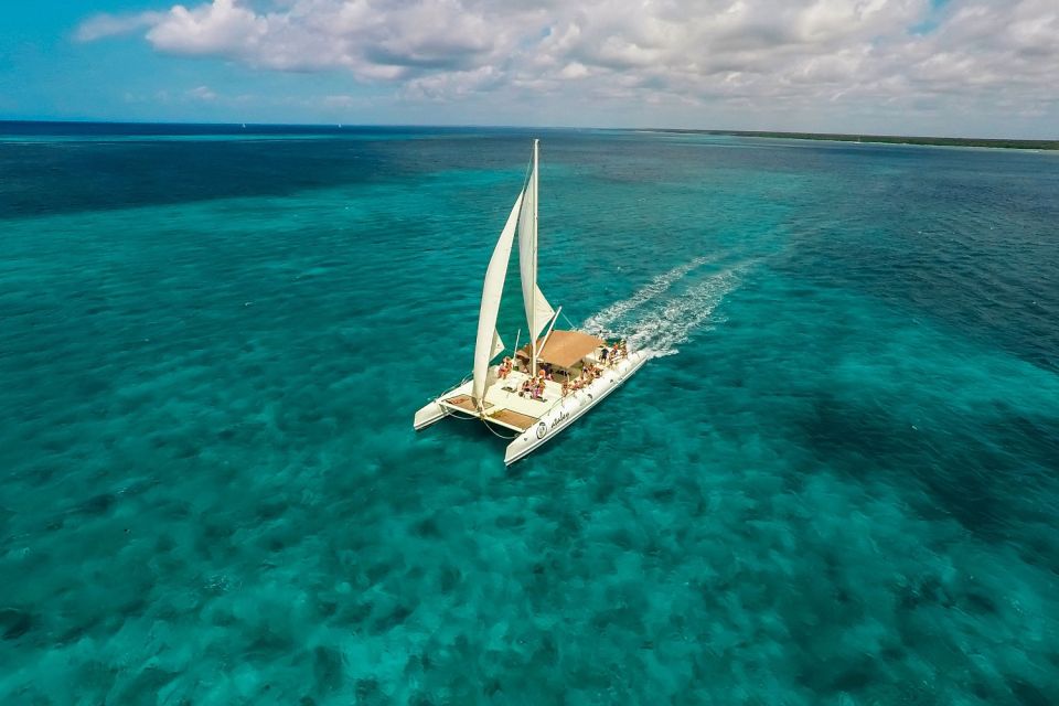 Saona Island: Full-Day Boat Tour With Buffet Lunch & Drinks - Marine Life Spotting