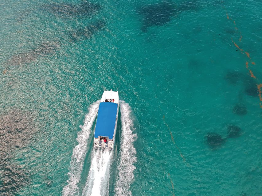 Saona Island: Full-Day Boat Tour With Buffet Lunch & Drinks - Booking and Cancellation Policy
